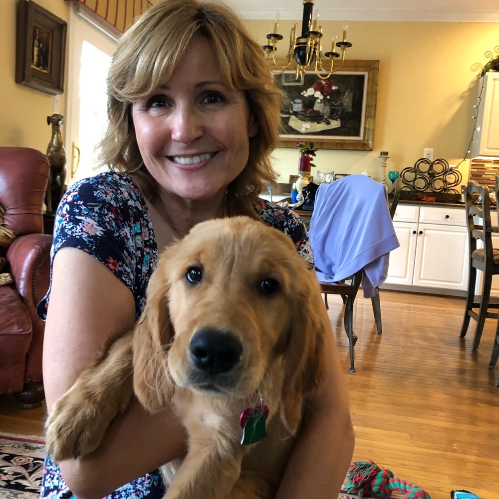 Meet your Posher, Sue